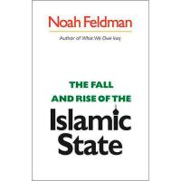 The Fall and Rise of the Islamic State