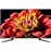 Smart TV Android Sony UHD 4K HDR KD49XG9005BAEP 124cm_0