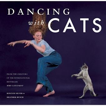 Dancing with cats