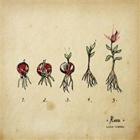 Rosa - LP 12''