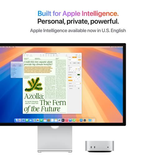 Mac mini | 2024 | M4 Pro | 64GB | 1TB SSD | GPU 16-core - Desktop