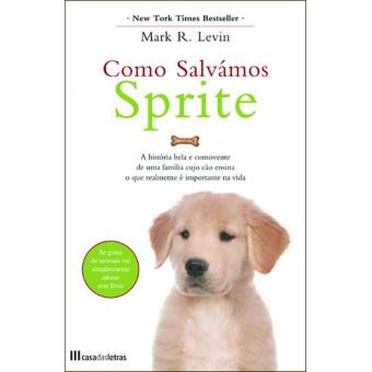 Como Salvámos Sprite - 1