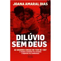 Dilúvio Sem Deus
