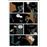 Outcast - Livro 4: Sob a Asa do Diabo_4