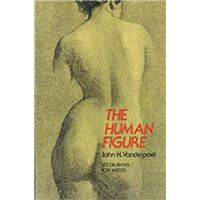 The Human Figure