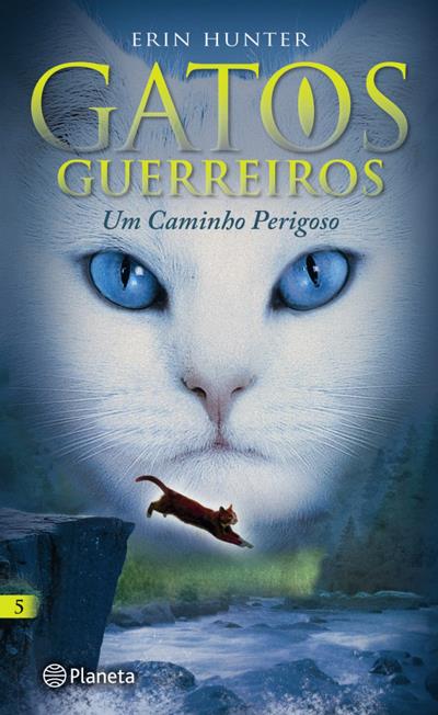 Gatos Guerreiros - Livro 5: Um Caminho Perigoso - Brochado - Erin Hunter -  Compra Livros na