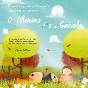 O Menino e a Gaivota