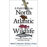 North atlantic wild