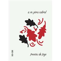 Frentes de Fogo