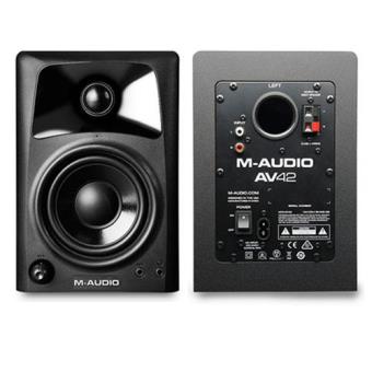 Monitor Amplificado (Par) AV42