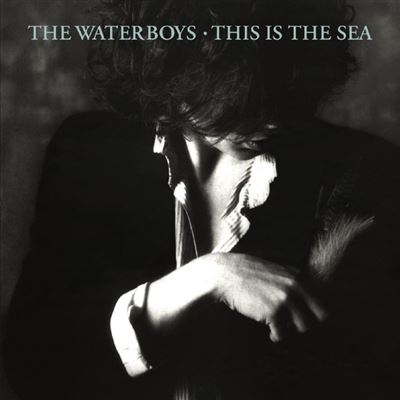 英LP The Waterboys This is The Sea UKステレオ This-Is-The-Sea-remastered-