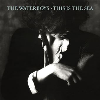 The Waterboys - This Is The Sea Remastered - LP 180g - Vinil