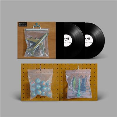 Ants From Up There - 2LP + MP3