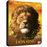 O Rei Leão - Edição Steelbook - Blu-ray 3D + 2D Importação_0