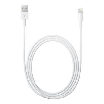 Cabo carregador USB-C para Lightning Apple (2M) - Premium - Merilin Cases -  O seu Shopping do Celular