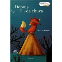 Depois da Chuva