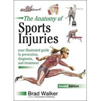 The Anatomy of Sports Injuries