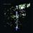 Garden - CD_0
