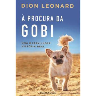 À Procura da Gobi