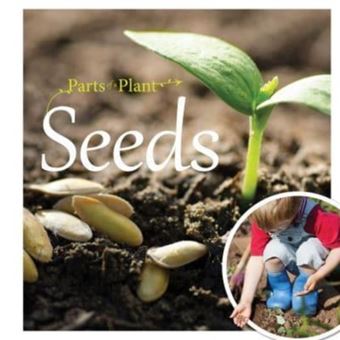 Parts of a Plant - Seeds - 1