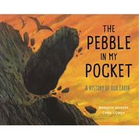 The Pebble in My Pocket