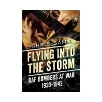 Flying into the storm