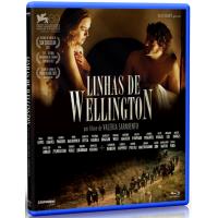 Linhas de Wellington