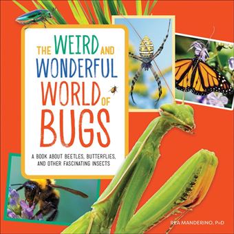 The Weird and Wonderful World of Bugs - 1