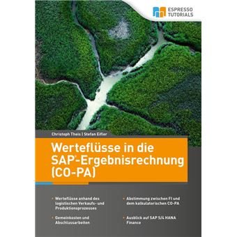 Werteflüsse in die SAP-Ergebnisrechnung (CO-PA) - 1