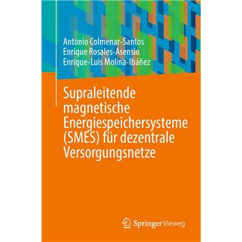 Supraleitende magnetische Energiespeichersysteme (SMES) für dezentrale Versorgungsnetze - 1