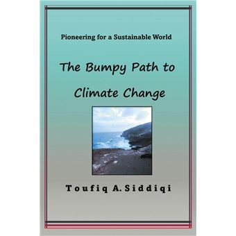 The Bumpy Path to Climate Change - 1