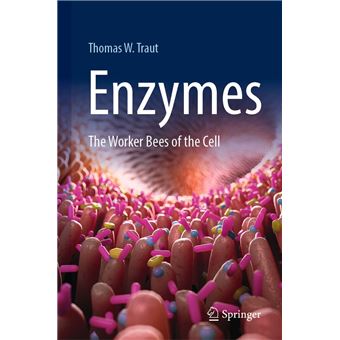 Enzymes - 1