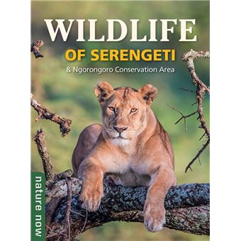 Wildlife of Serengeti & Ngorongoro Conservation Area - 1