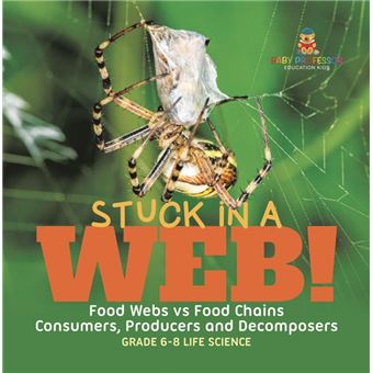 Stuck in a Web! Food Webs vs Food Chains | Consumers, Producers and Decomposers | Grade 6-8 Life Science - 1