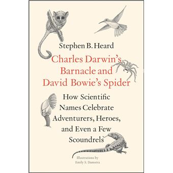 Charles Darwin's Barnacle and David Bowie's Spider - 1