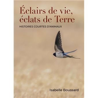 Éclairs de vie, éclats de Terre - 1