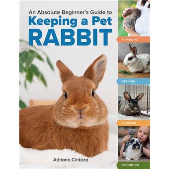 An Absolute Beginner's Guide to Keeping a Pet Rabbit - 1