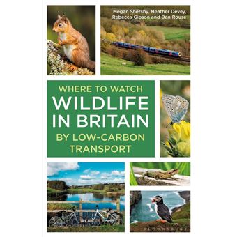 Where to Watch Wildlife in Britain - 1