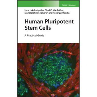 Human Pluripotent Stem Cells by Rene H. Quintanilla Rene H. Quintanilla ...