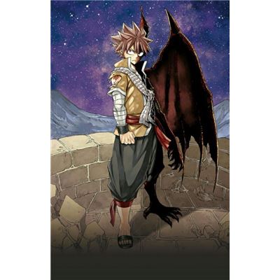 Gekijouban Fairy Tail: Dragon Cry / Fairy Tail Dragon Cry (DVD)