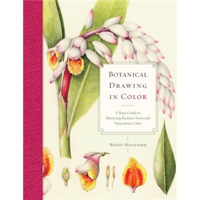 Botanical Drawing in Color by W Hollender
