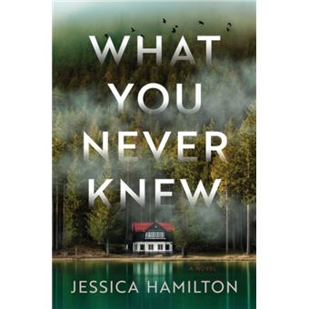 What You Never Knew by Jessica Hamilton - 1