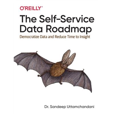 Oreilly Media The Selfservice Data Roadmap By Sandeep Uttamchandani