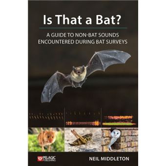 Is That a Bat by Neil Middleton - 1