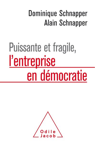 Puissante et fragile, l'entreprise en démocratie - Dominique Schnapper - broché