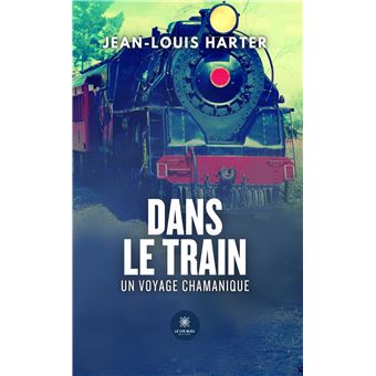 Dans le train - 1