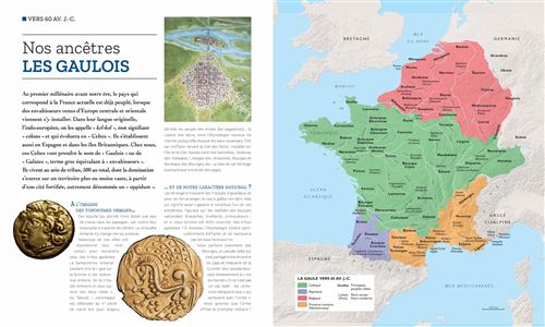 L'Histoire de France par les cartes - relié - Didier Chirat, Livre tous les  livres à la Fnac