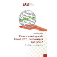 Espace numerique de travail (eNT): quels usages en France?