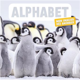 Alphabet - 1