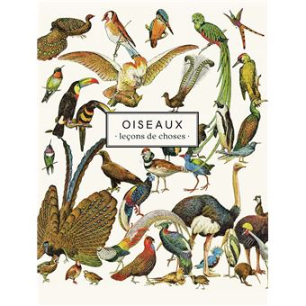 Carnet Oiseaux